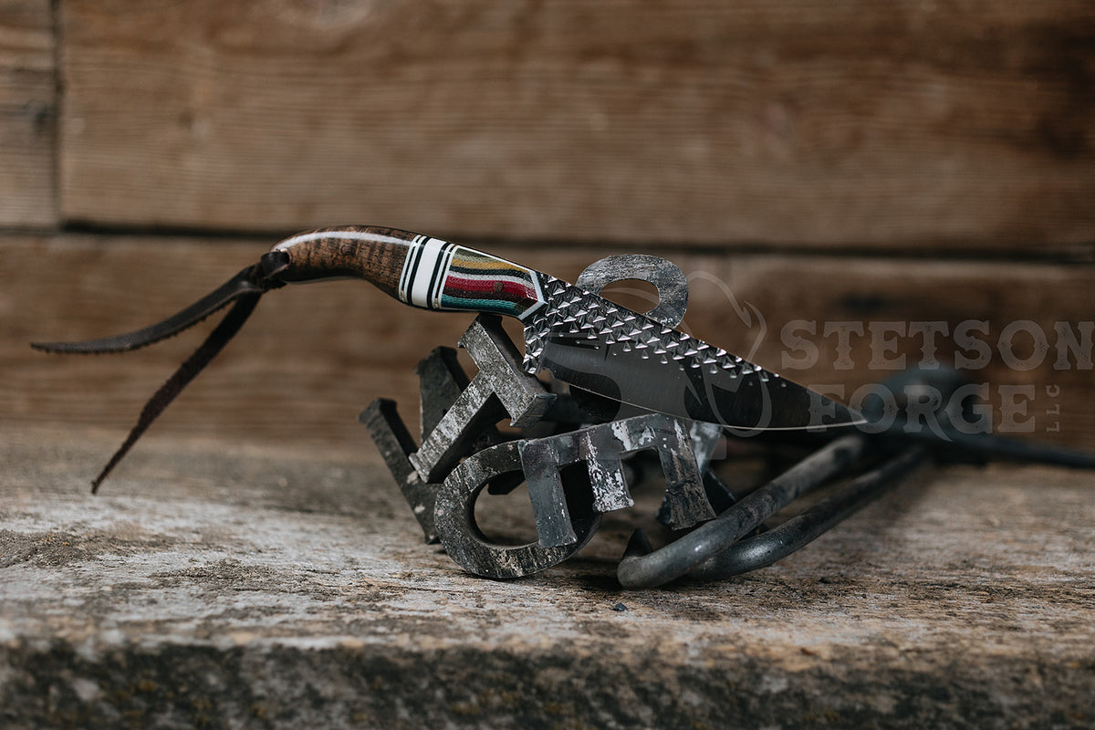 Mexican Saddletramp