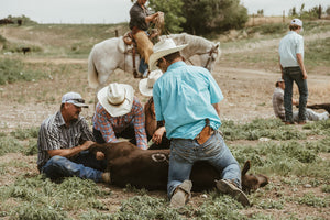 Stetson Forge Branding 2025