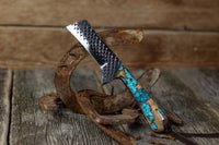 Turquoise Cholla cactus Bull Cutter