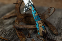 Turquoise Cholla cactus Bull Cutter