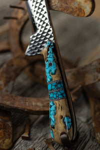 Turquoise Cholla cactus Bull Cutter