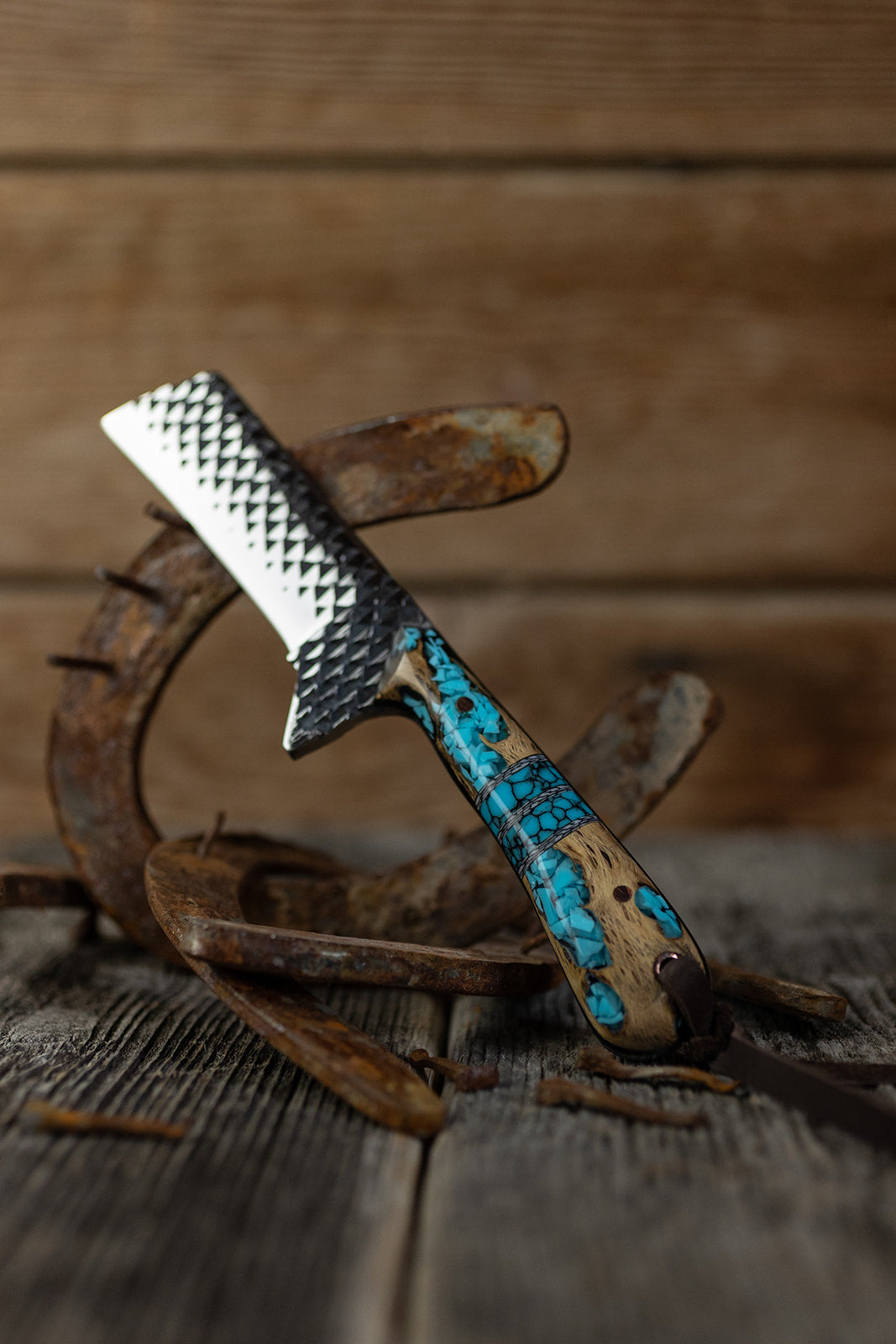 Turquoise Cholla cactus Bull Cutter