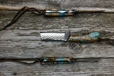 Turquoise Cholla cactus Bull Cutter