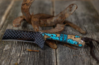 Turquoise Cholla cactus Bull Cutter