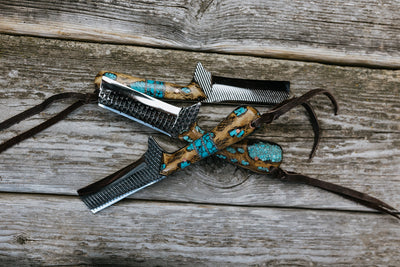 Turquoise Cholla cactus Bull Cutter