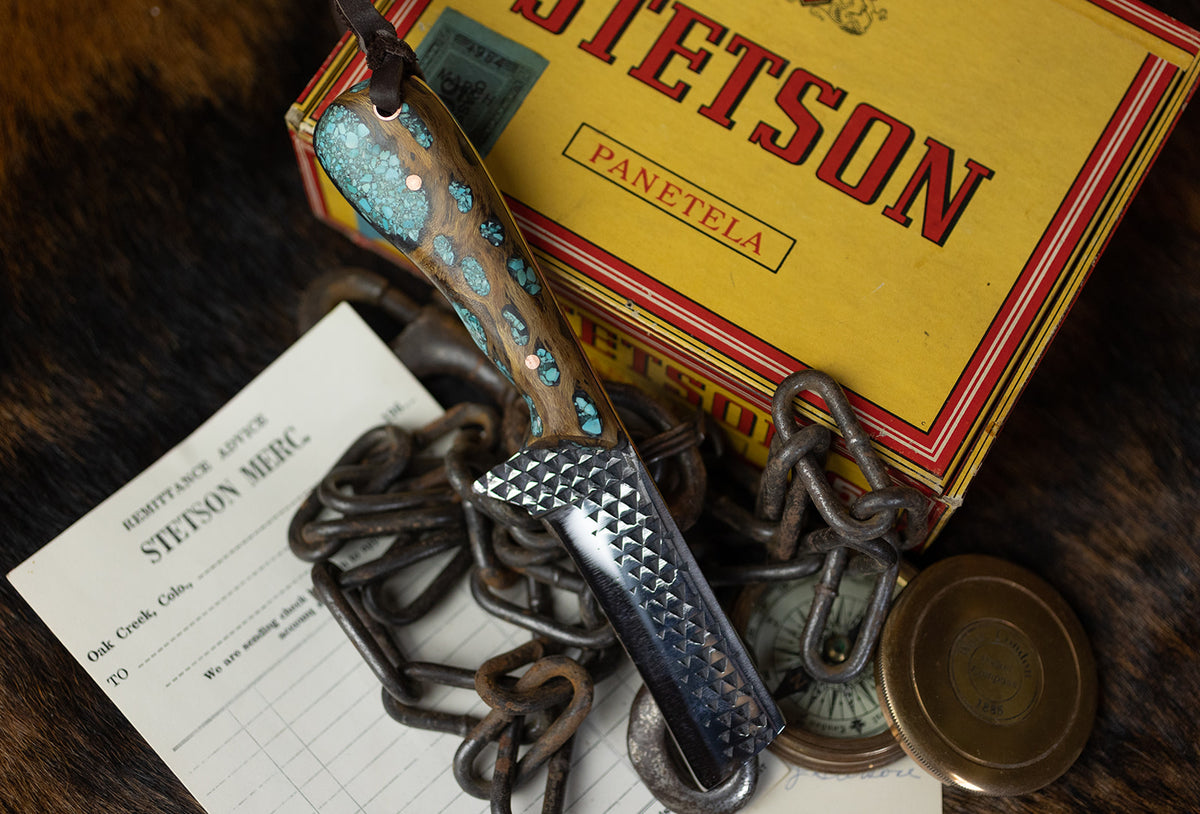 Turquoise Cholla cactus Bull Cutter