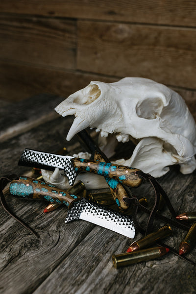 Turquoise Cholla cactus Bull Cutter