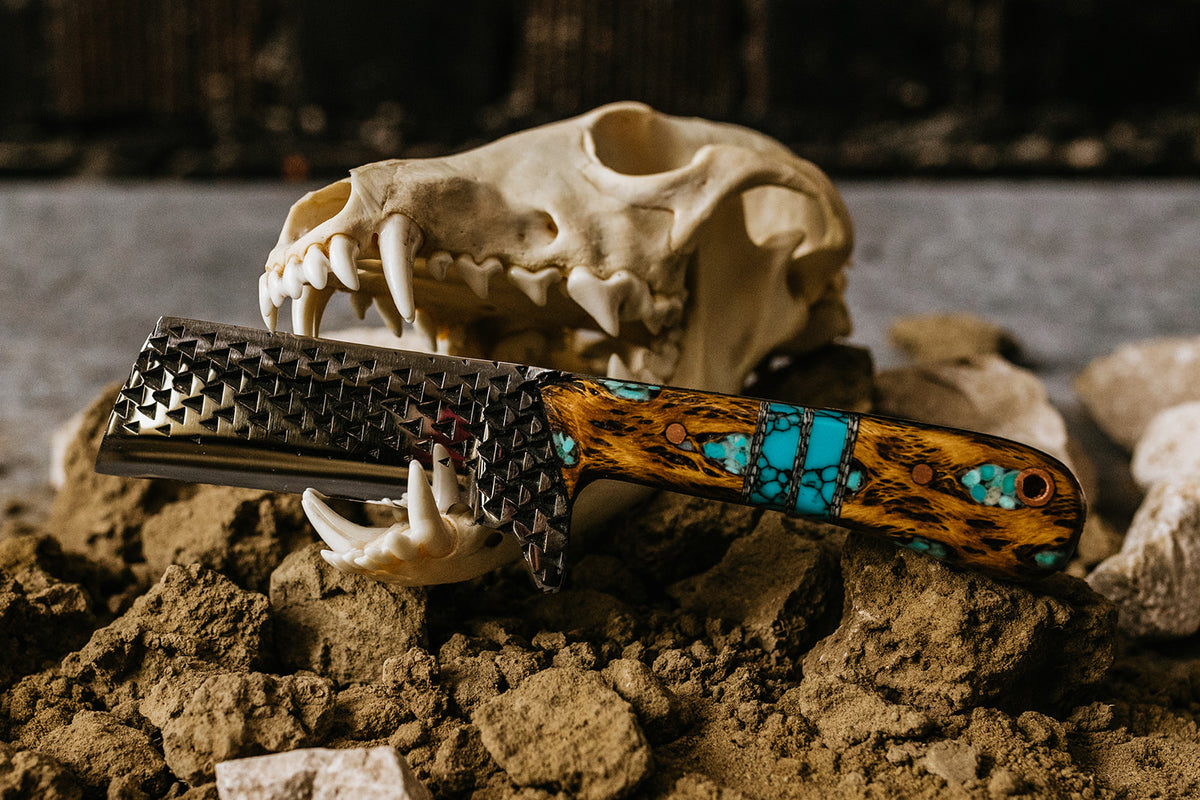 Turquoise Cholla cactus Bull Cutter