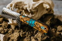 Turquoise Cholla cactus Bull Cutter