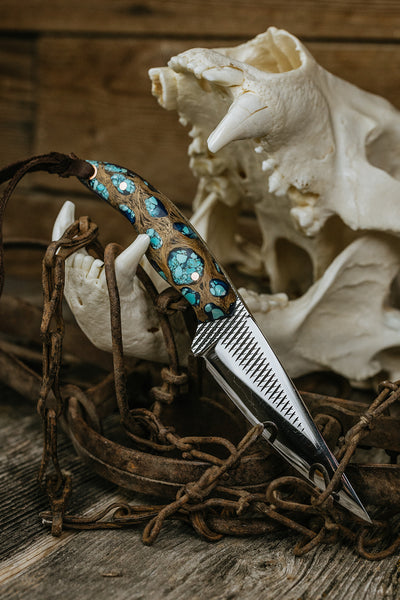 Turquoise Cholla Farrier Rasp Saddletramp