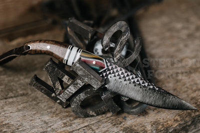 Mexican Saddletramp