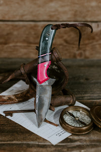 The Pink Pony