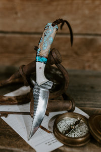 The Turquoise Heeler