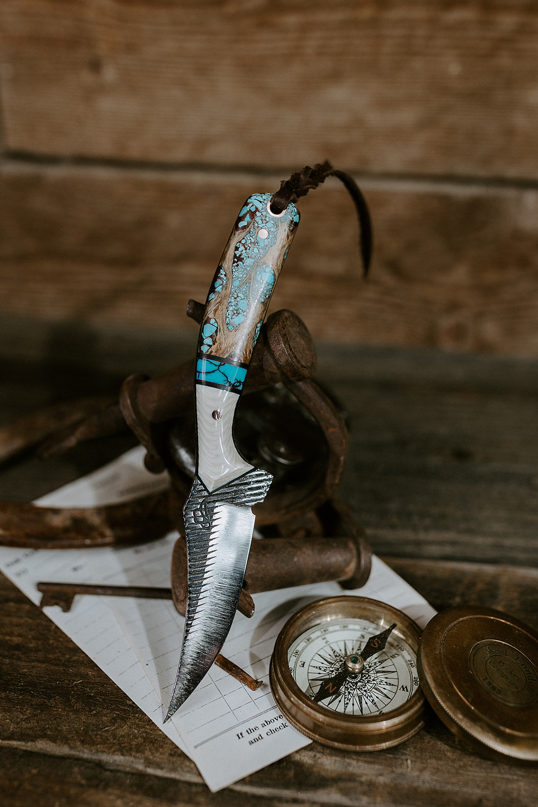 The Turquoise Heeler