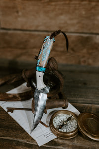 The Turquoise Heeler