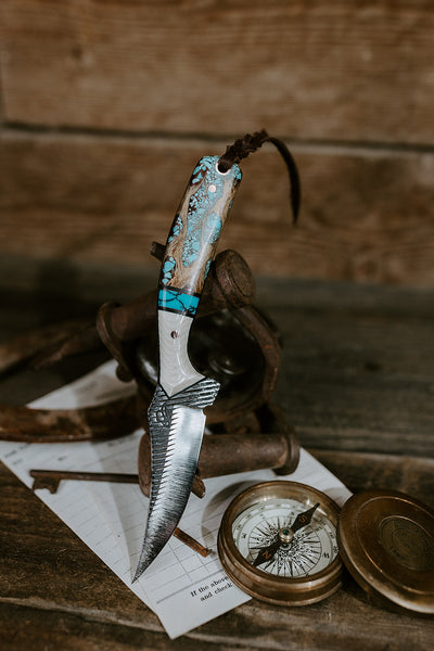 The Turquoise Heeler