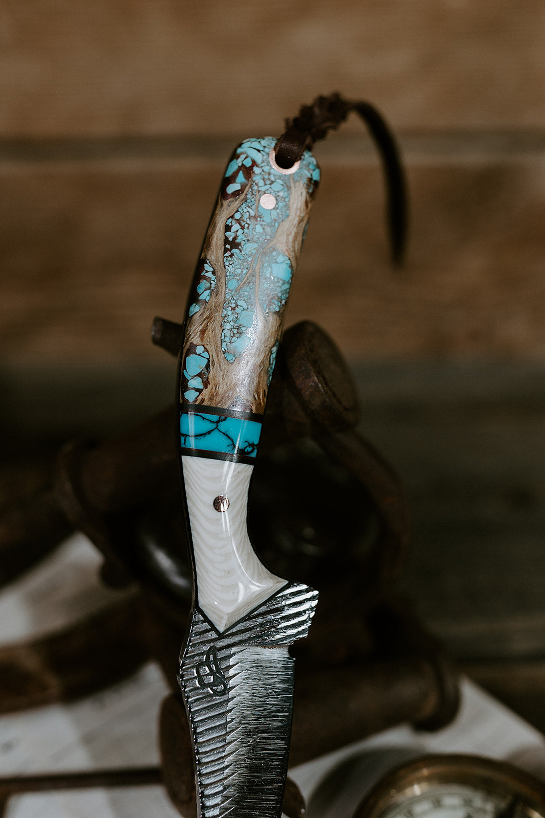 The Turquoise Heeler