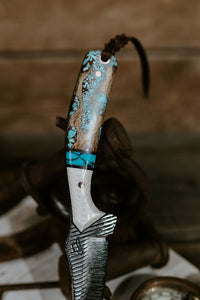 The Turquoise Heeler