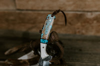 The Turquoise Heeler