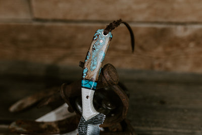The Turquoise Heeler
