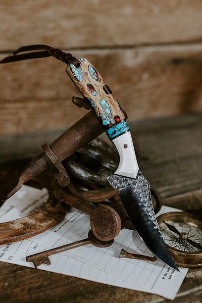 The Turquoise Heeler