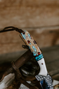 The Turquoise Heeler