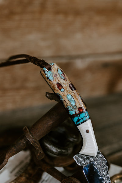 The Turquoise Heeler