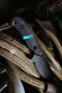 The Rimrock Maverick