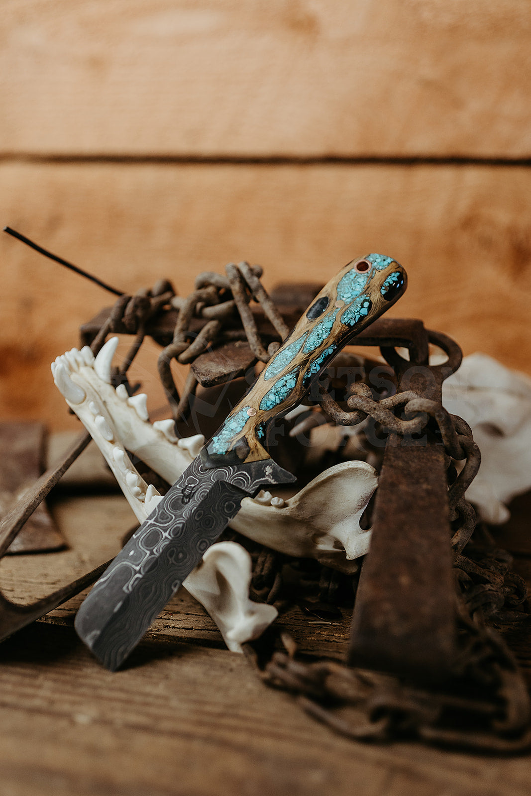 The Cholla Reaper Bull Cutter